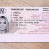 Norway driver's license