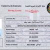 UAE Driving License