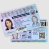 International Driving Licence