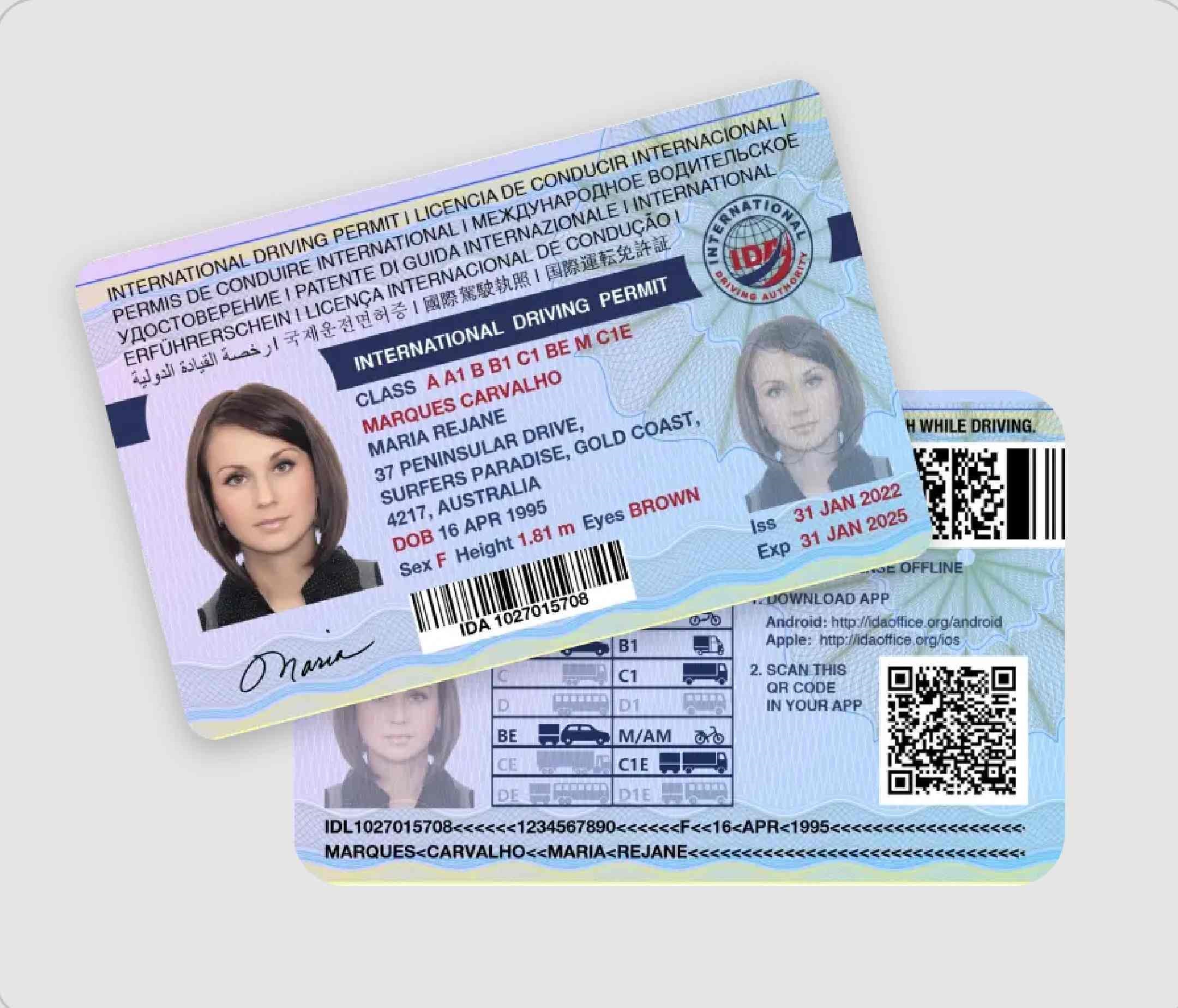 International Driving Licence
